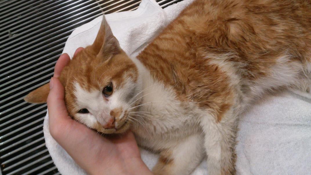 日收入八百多万网红,日赚9000元网红