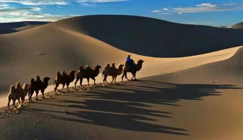 听展展与罗罗唱的沙漠骆驼,展展与罗罗在工作室演唱沙漠骆驼