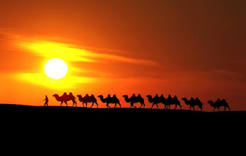 听展展与罗罗唱的沙漠骆驼,展展与罗罗在工作室演唱沙漠骆驼