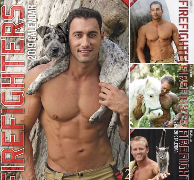 一组热到爆的猫片，对不起我要流鼻血了……