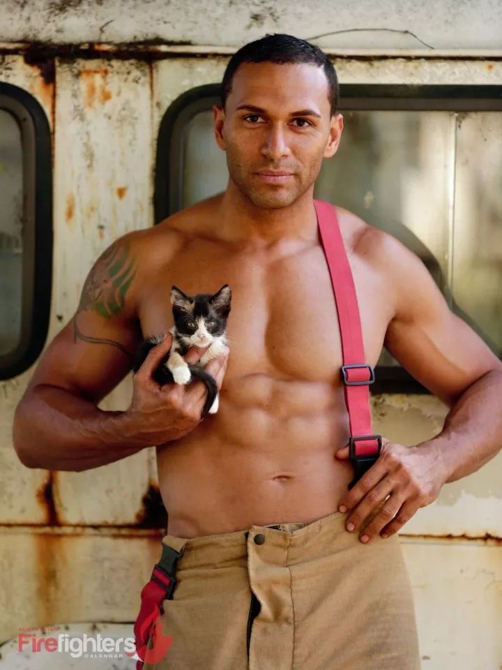 一组热到爆的猫片，对不起我要流鼻血了……