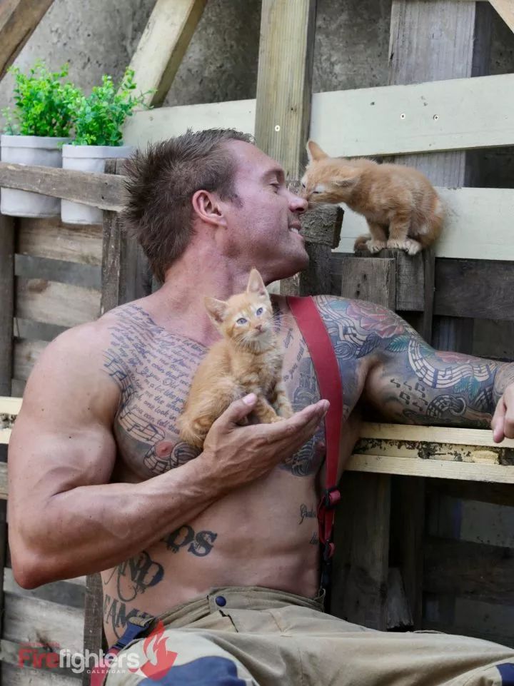 一组热到爆的猫片，对不起我要流鼻血了……