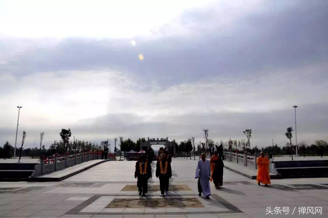 重阳节要怎么敬老,重阳节你是怎么敬老的