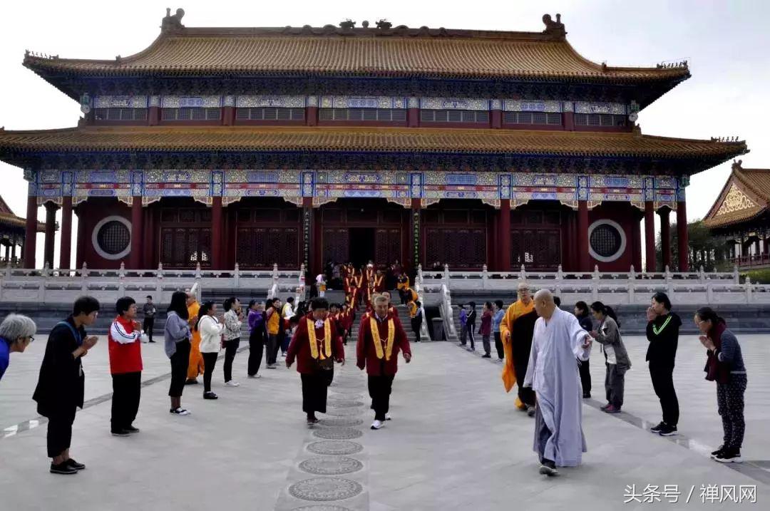 重阳节要怎么敬老,重阳节你是怎么敬老的