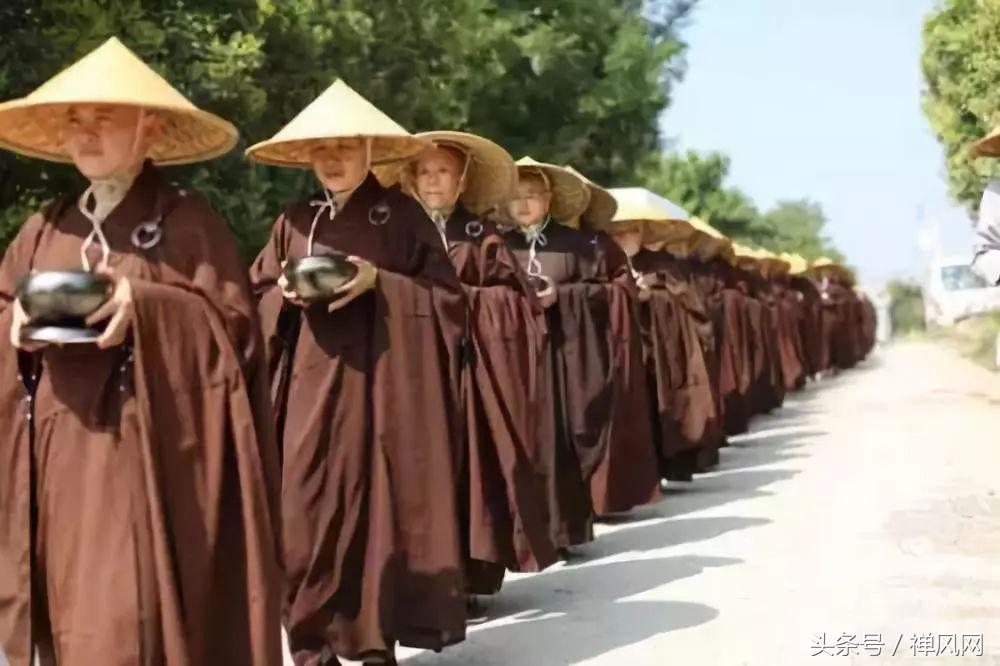 重阳节要怎么敬老,重阳节你是怎么敬老的