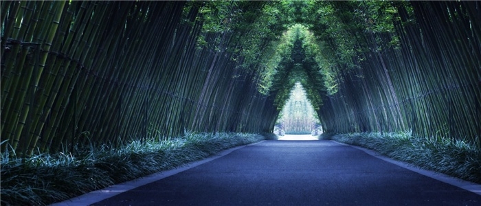 金沙城西府颐苑商墅,成都金沙城西府颐苑问题