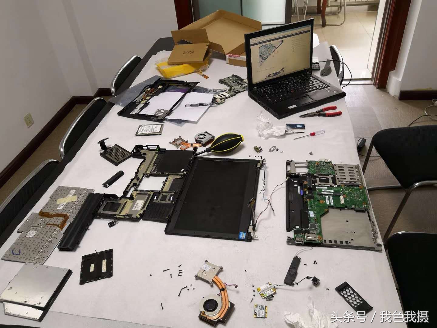 坑！坑！坑！奸商2年前给挖的坑，今天终于填上了