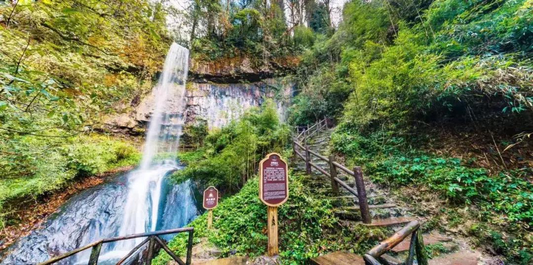 成都出发哪条线路秋景最美,成都出发两小时看满山红叶