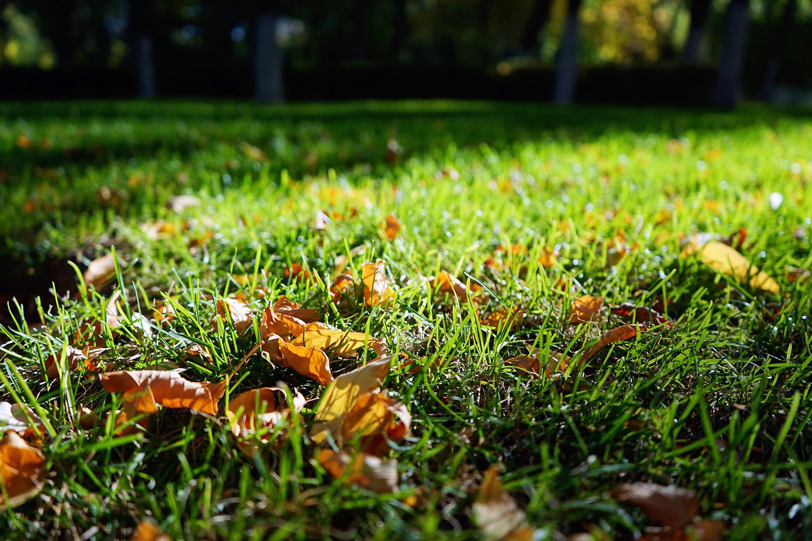 金昌历史上的古城,金昌七彩丹霞景点分布图