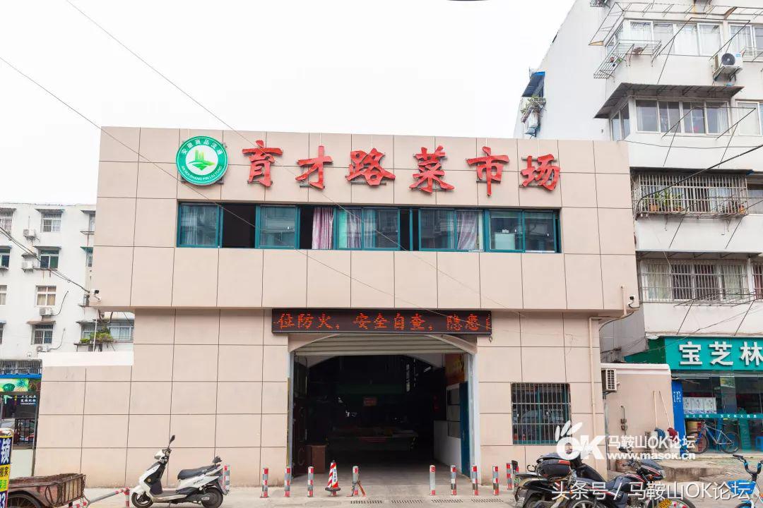 有一种记忆叫原声,有一种回忆