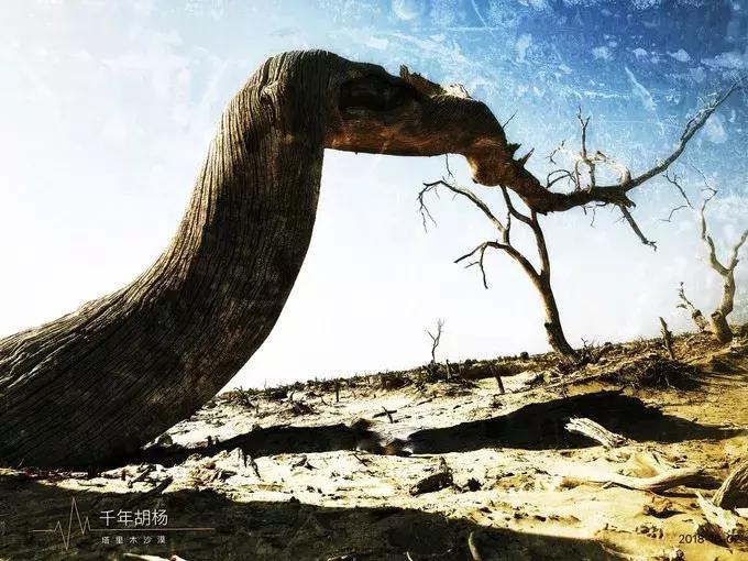 此生一定要去的十个绝美胜地游历,鲜为人知却值得一去的旅游之地