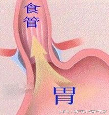 宝宝不愿意咀嚼食物怎么办,宝宝错过咀嚼吞咽关键期怎么办