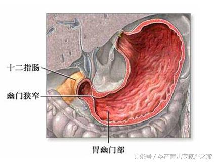 宝宝不愿意咀嚼食物怎么办,宝宝错过咀嚼吞咽关键期怎么办