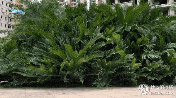 哪个航司的机票最便宜,哪个航司服务最好