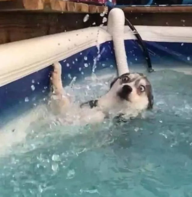 水乳买一套还是分开 (水乳怎么才能分开买)