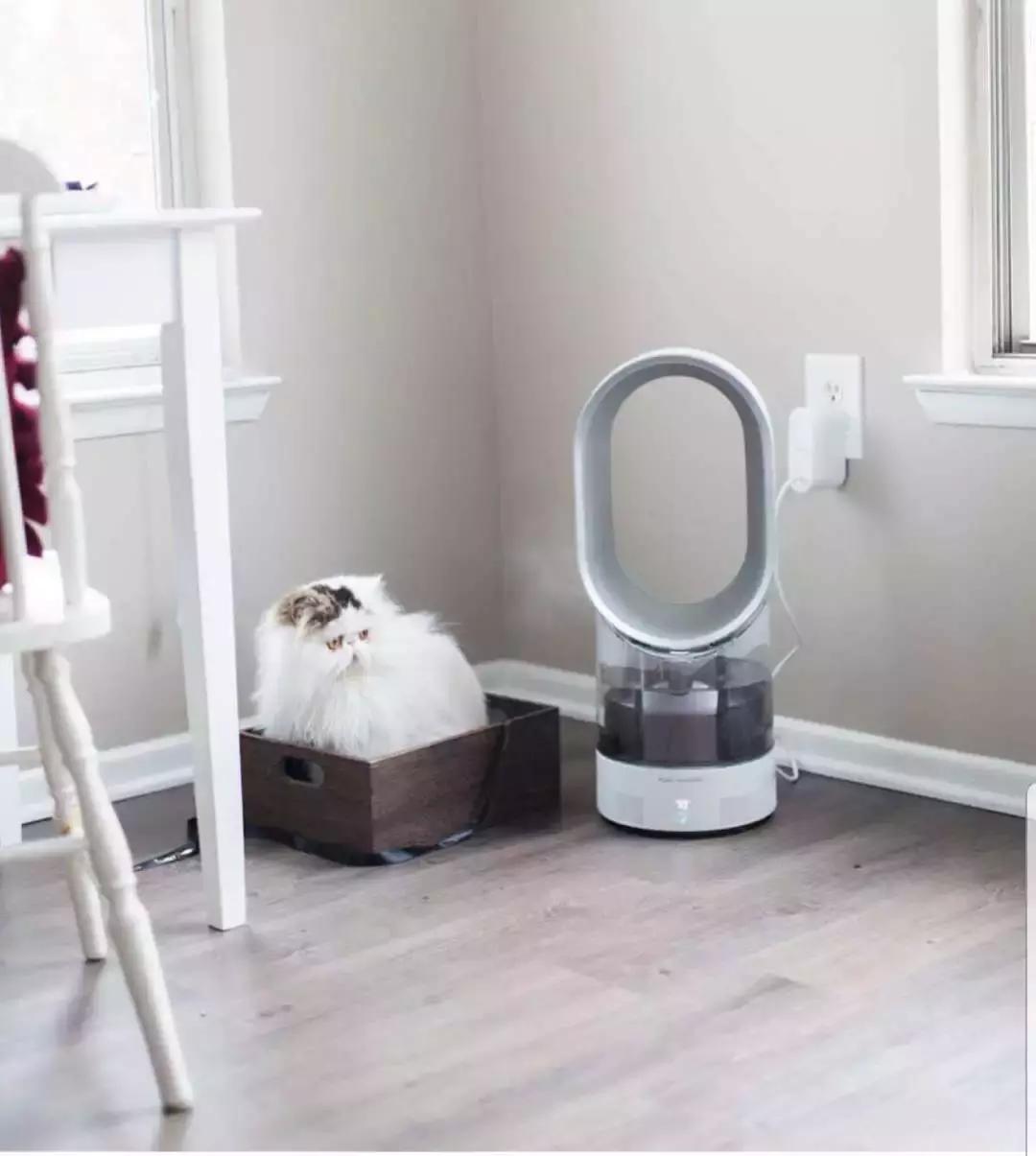 皮肤不保湿锁水怎么办,身体皮肤干燥缺水补水最快的方法