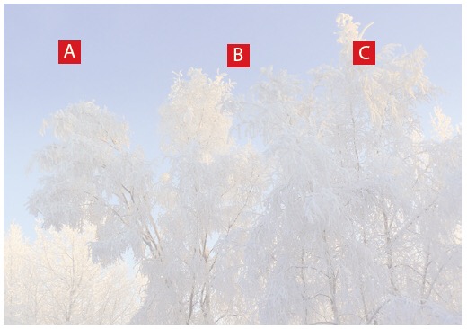 高iso感光度照片怎么变清晰,如何调iso和快门速度