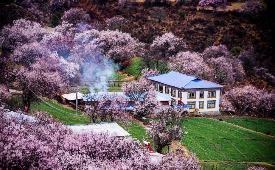 林芝的气候特点是什么,林芝属于季风气候区吗