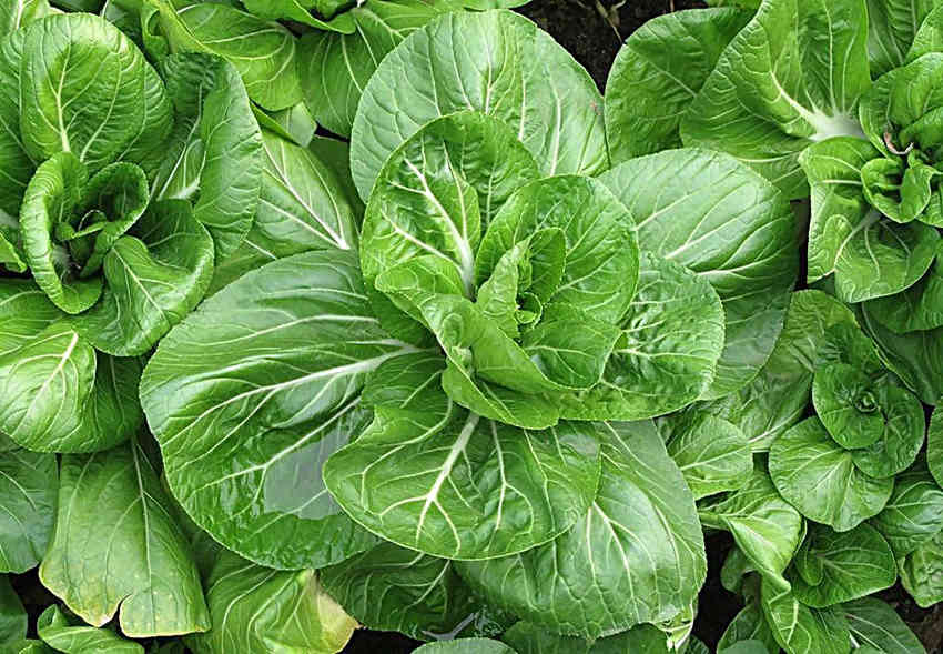 27个实用生活小窍门太有创意了,9个生活小窍门让你的生活不一般