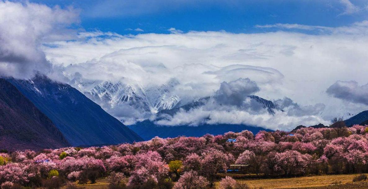 林芝的气候特点是什么,林芝属于季风气候区吗