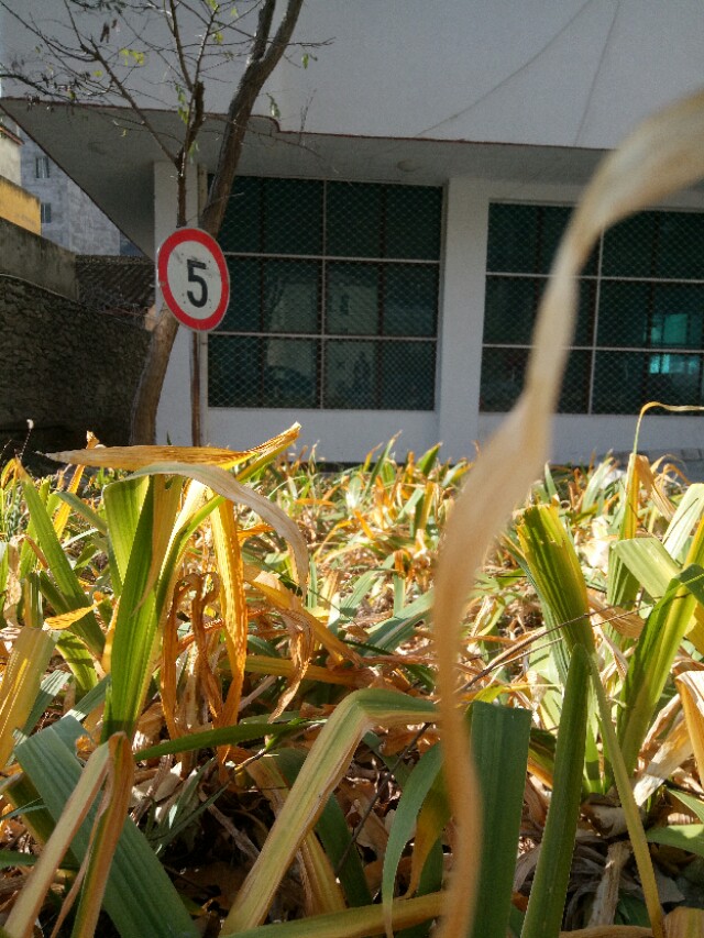 27个实用生活小窍门太有创意了,9个生活小窍门让你的生活不一般