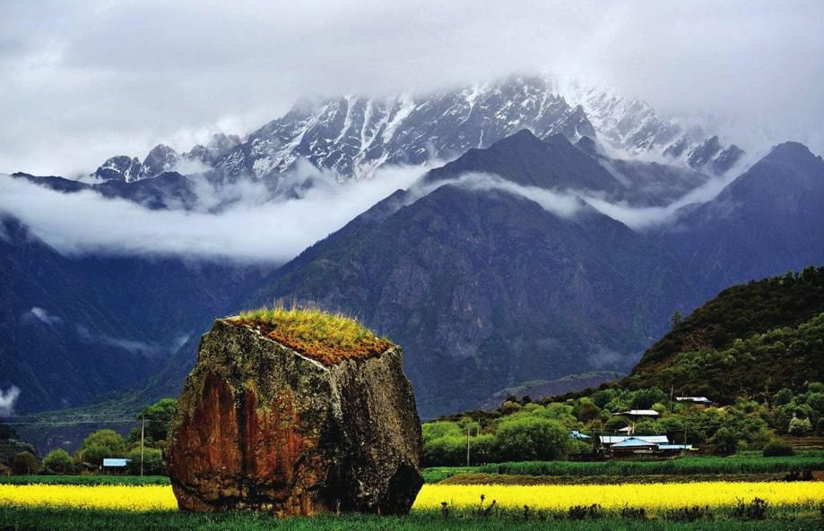 林芝的气候特点是什么,林芝属于季风气候区吗