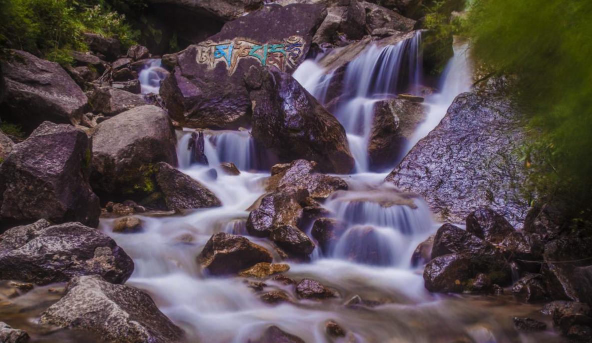 林芝的气候特点是什么,林芝属于季风气候区吗