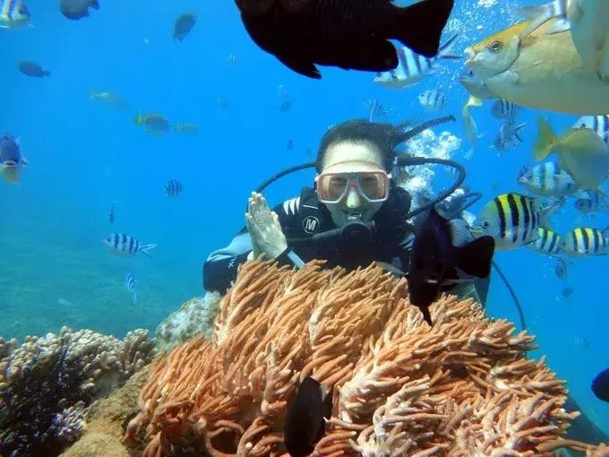 蜈支洲岛一日游攻略详细介绍,蜈支洲岛怎么玩超详细攻略