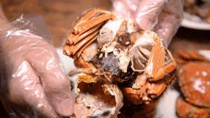 福州文艺的酒吧,福州高逼格的酒吧