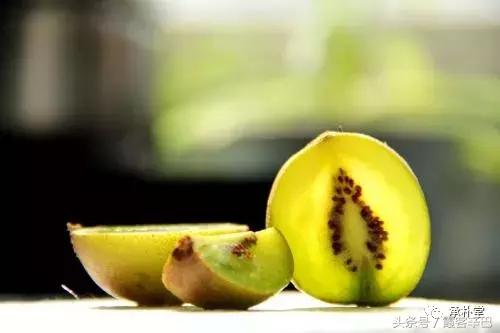 寒凉瓜果伤脾胃,水果寒凉伤脾胃