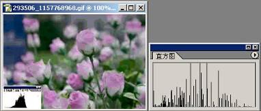 单反数码摄影入门教程,数码单反摄影进阶完全教程