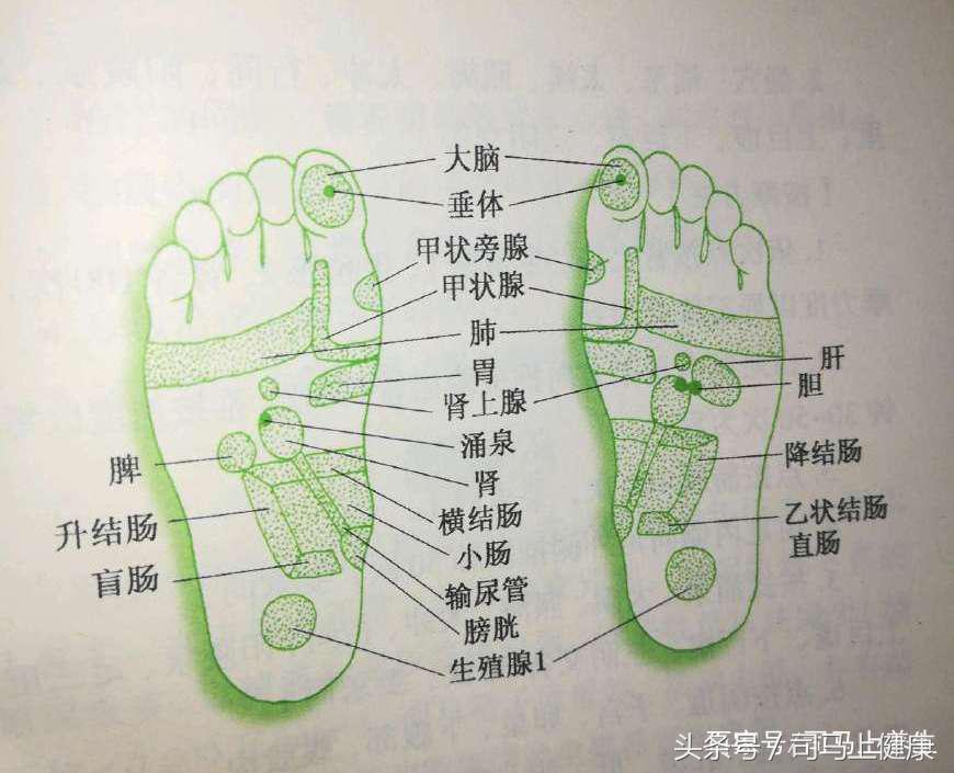 不孕症，不用怕，这些穴位可以帮到你