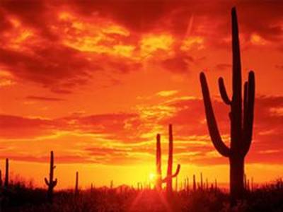 单反数码摄影入门教程,数码单反摄影进阶完全教程