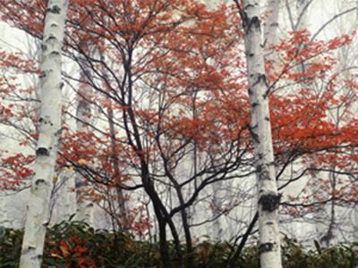 单反数码摄影入门教程,数码单反摄影进阶完全教程