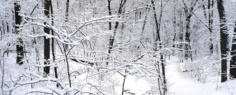 单反数码摄影入门教程,数码单反摄影进阶完全教程