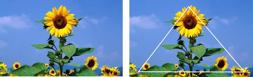 单反数码摄影入门教程,数码单反摄影进阶完全教程