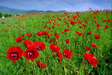 单反数码摄影入门教程,数码单反摄影进阶完全教程