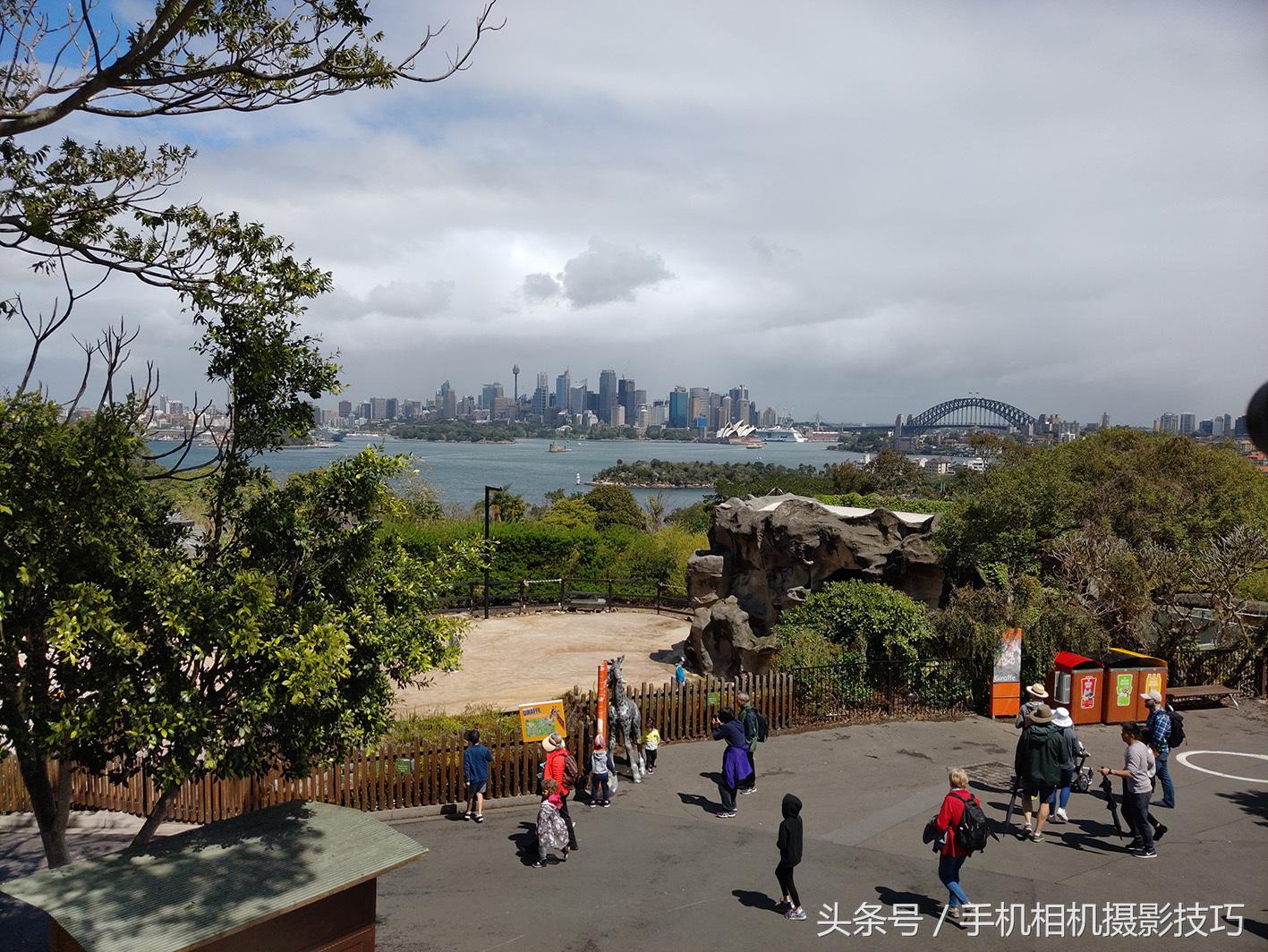 手机怎么拍出单反的效果,手机如何拍出单反相片