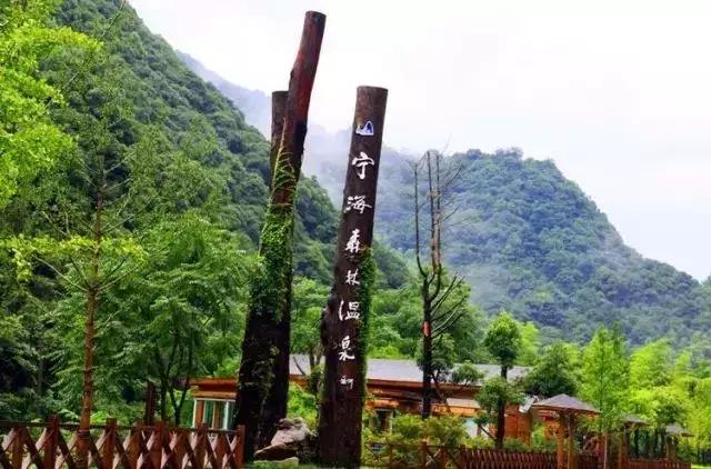 温泉度假酒店江浙沪最值得打卡,江浙沪旅游10佳民宿推荐