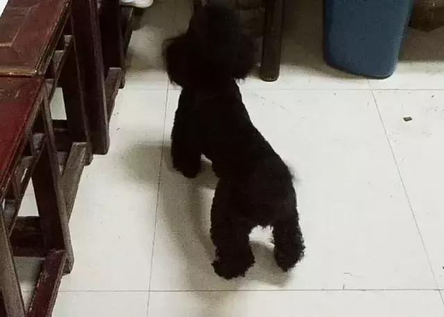 合肥古玩城明清瓷器,合肥古玩城翡翠