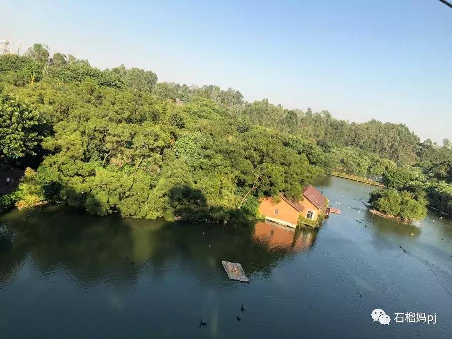 长隆欢乐世界和长隆野生动物园,广州长隆野生动物园侏罗纪公园