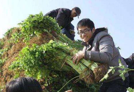 “石榴哥”们的生意经
