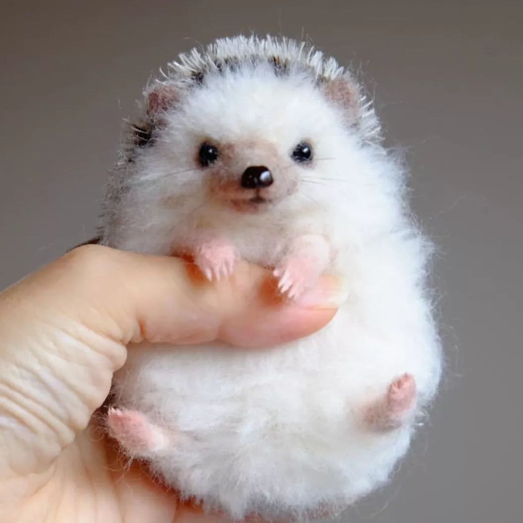 羊毛毡小动物作品初学者,小刺猬毛毡手工