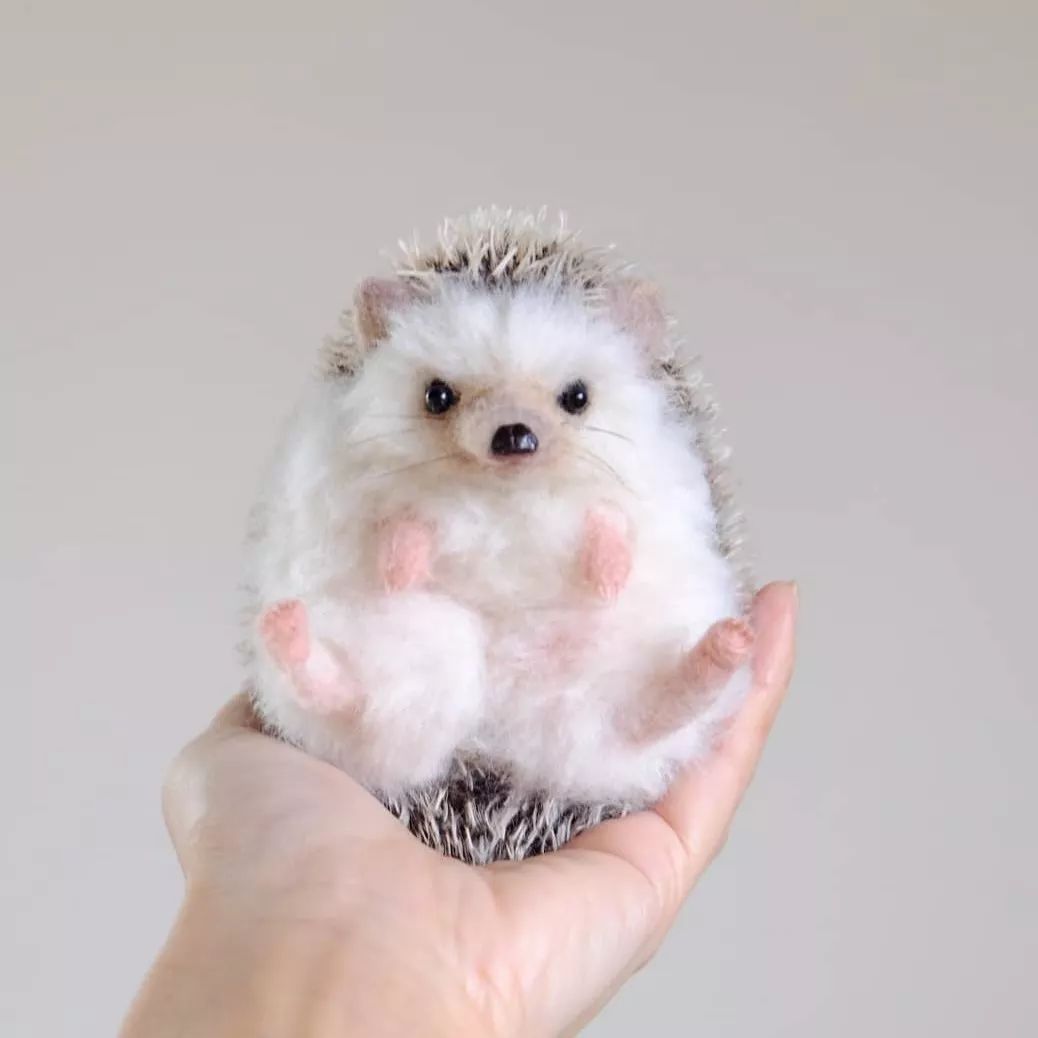 羊毛毡小动物作品初学者,小刺猬毛毡手工