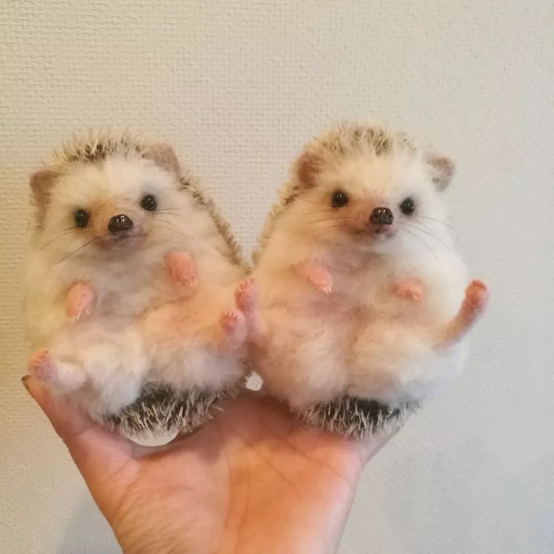 羊毛毡小动物作品初学者,小刺猬毛毡手工