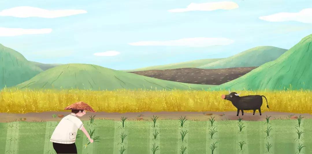 芒种黄龄清唱,芒种百里玄策