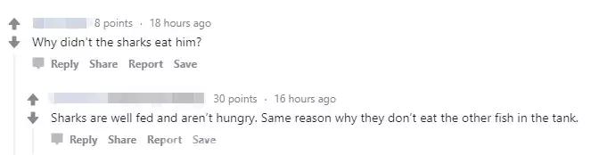 「奇葩」加拿大男子鲨鱼池里裸泳，虎鲨：“这条小蚯蚓我没兴趣”