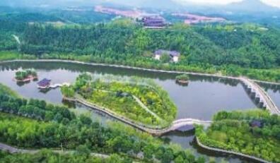 粉色花海被踩踏,花海遭践踏