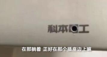 粉色花海被踩踏,花海遭践踏