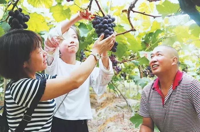甜甜的怀化城市风景,甜甜的怀化完整版原唱